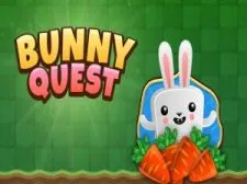 Bunny Quest